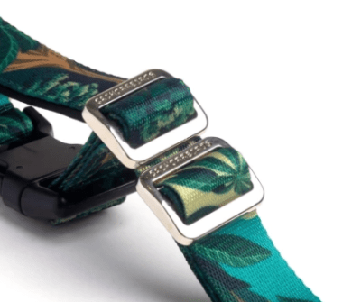 cachorre samauma trailla running