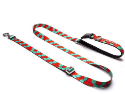 cachorre honey trailla running