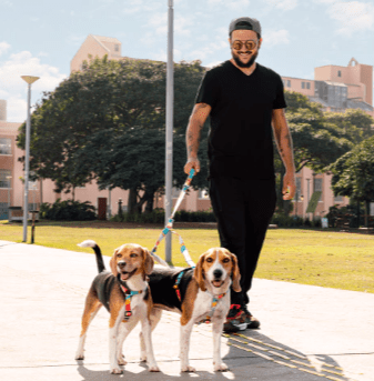 cachorre pitaya trailla doble