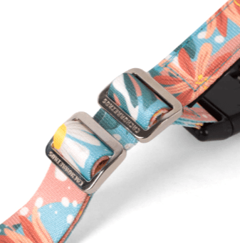 cachorre trailla running floral