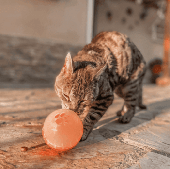 pawise bola porta golosina peq animales