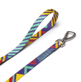 cachorre mutts trailla