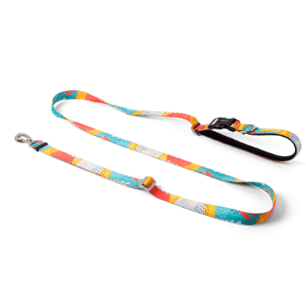 cachorre pitaya trailla running