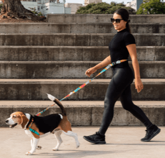 cachorre pitaya trailla running