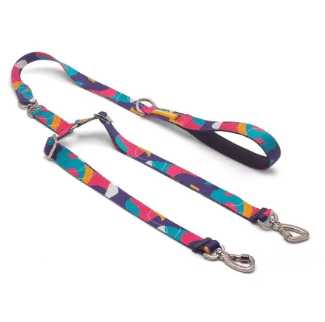 cachorre trailla doble doge