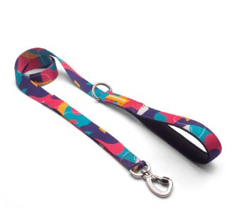 cachorre trailla doge