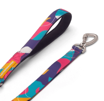 cachorre trailla doge