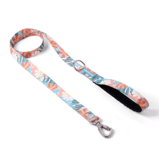 cachorre trailla floral