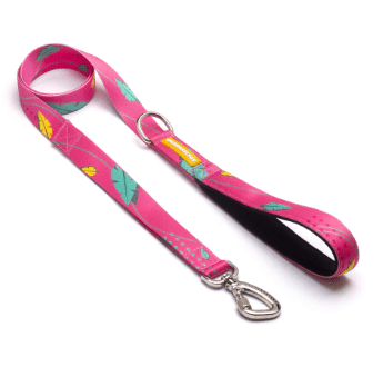 cachorre trailla olivia