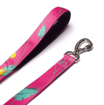 cachorre trailla olivia