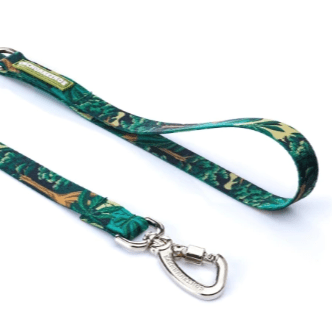 cachorre trailla samauma