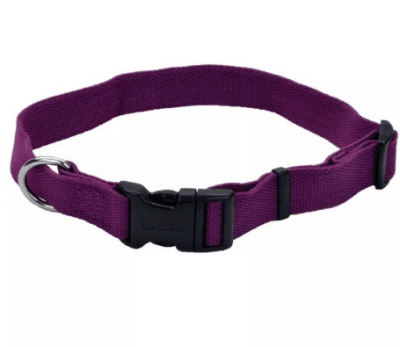 coastal collar new earth berenjena