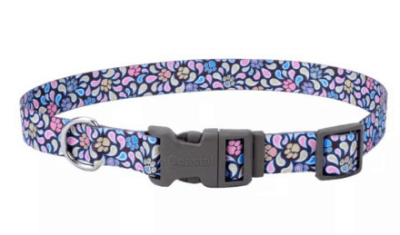 coastal collar PER style brown paw