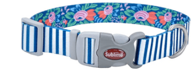 coastal collar PER sublime teal stripe