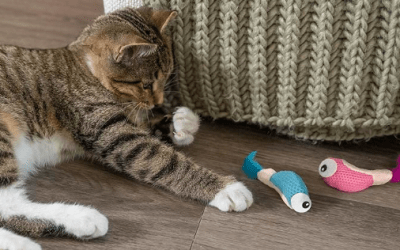 catstages juguete dental camaron