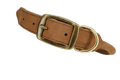 coastal collar cuero red 50cm