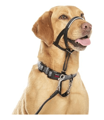 coa halti headcollar negro