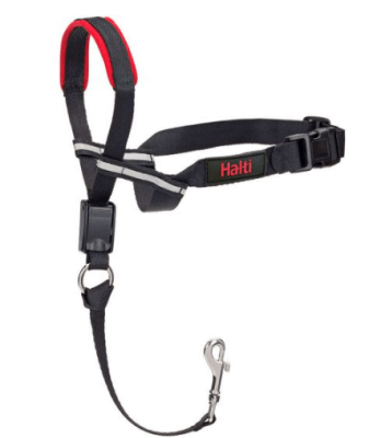 coa halti headcollar negro