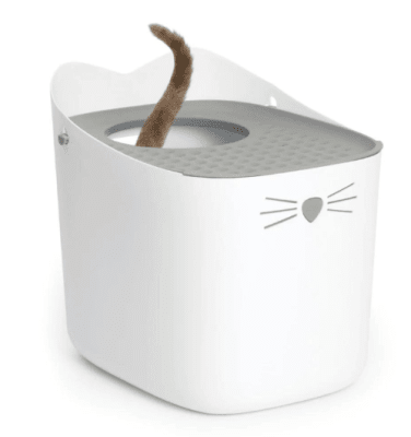 pixi baño para gatos