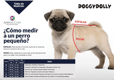 DD pole rojo racing fever c/gorro