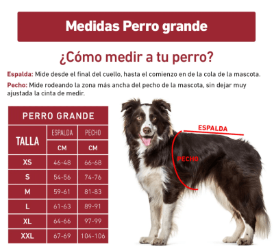 DD abrigo leñador rojo