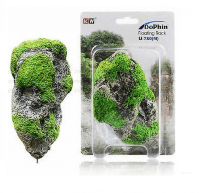 dophin roca flotante