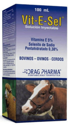 dpM vitamina e con selenio