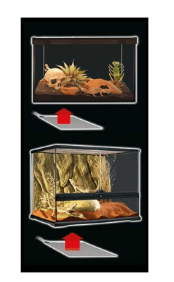 exoterra placa calefactora