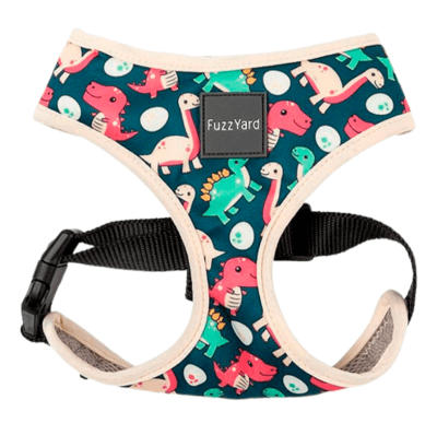 fuzzy arnes dinosaur