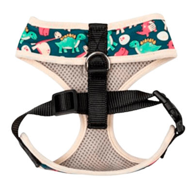 fuzzy arnes dinosaur