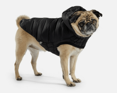 gfpet parka cloud negra