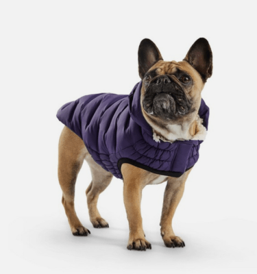 gfpet parka cloud purpura