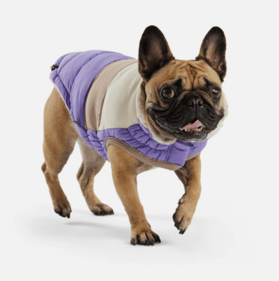 gfpet parka color block purpura