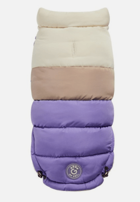 gfpet parka color block purpura