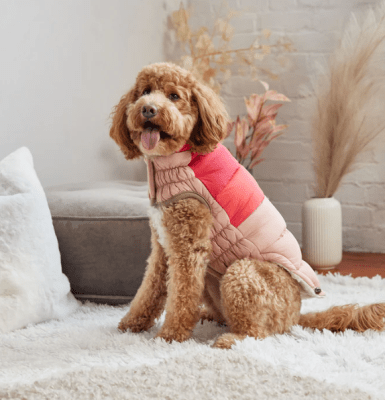 gfpet parka color block rosa