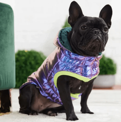 gfpet parka iridiscente