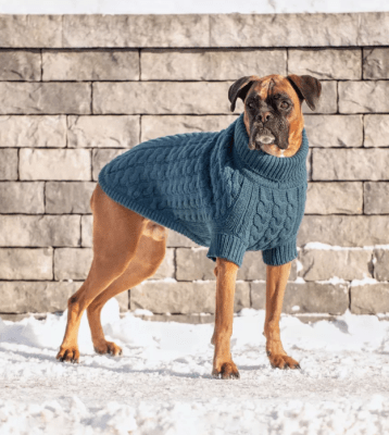 gfpet sweater chalet verde azulado