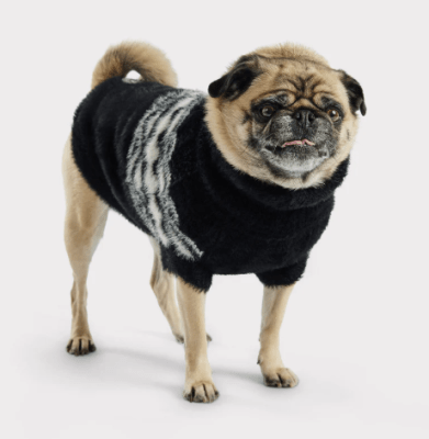 gfpet sweater fuzzy negro
