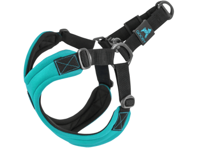 gooby arnes sport turqueza