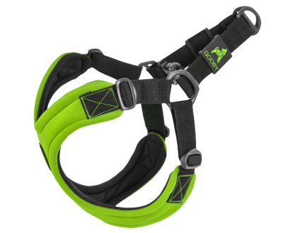 gooby arnes sport verde