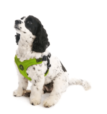gooby arnes sport verde