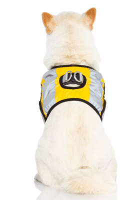 gooby safety vest