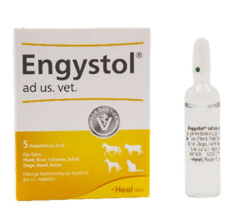 heel engystol inyectable