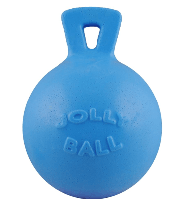 JP pelota con asa blueberry