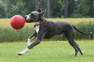 jp pelota con asa roja