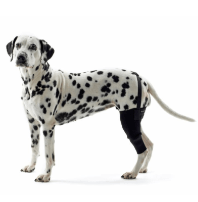 kruuse rodillera izquierda