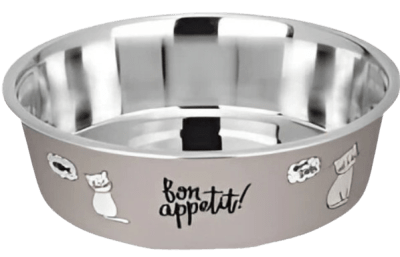 kumar plato gato gris