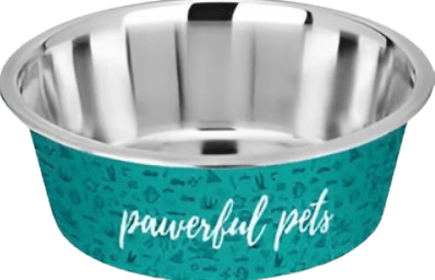 kumar plato gato turquesa