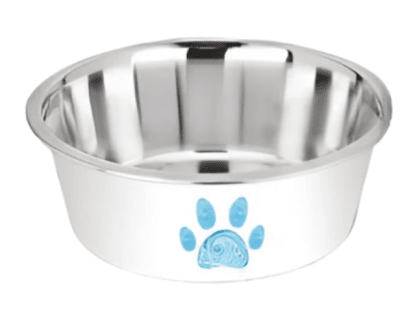 kumar plato perro blanco pata azul