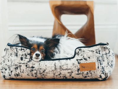 lounge bed celestial blue